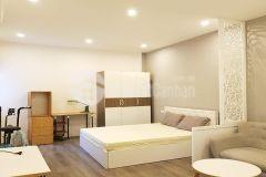 Cho thuê căn hộ dịch vụ tại đội cấn, ba đình, 30m2, 1pn, đầy đủ nội thất mới hiện đại