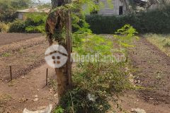 Bán đất hẻm tỉnh lộ 2 phường khánh xuân tp bmt giá đầu tư 455 triệu