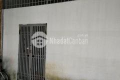 Bán nhà cấp 4 nguyễn khang cực hiếm, 60m2, mặt tiền 5m, ô tô vào nhà, 3 thoáng, 5.5 tỷ