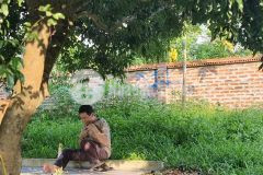 Chính chủ cần tiền bán gấp nhà vườn tại ngọc thanh phúc yên vĩnh phúc