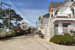 Nd1008 bán dãy trọ mặt tiền đường ngô tất tố phường 8 tp đà lạt.