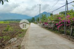 Bán đất làm vườn diên tân giá rẻ đầu tư