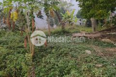 Đất lương sơn, hòa bình 1830m2, giá 3 tỷ