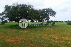 Bán lô đất 9448m2 giá bán 100.000đm2, sổ hồng riêng, công chứng ngay, lh 0937251240