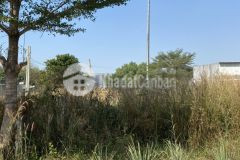 Bán đất gần trường đại học việt đức góc mặt tiền đối diện trung tâm thương mại do tình hình dịch bệ