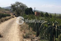 5,9 sào xã sông phan, hàm tân 1 tỷ 850