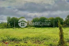 Ban đât gia re đep đât thô cư