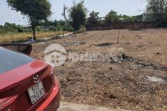 Bán 955,1m2 đất bông trang 2mt sát ubnd ql55 50m 4.35 tỷ. lh0839034034