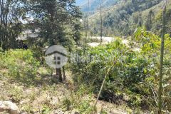 Đất nền sapa, cần bán lô đất 200m2 tại thôn lủ khấu, tả phìn