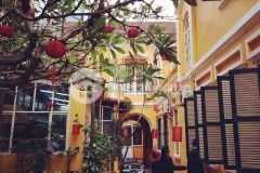 Siêu biệt thự cổ chân cầm, hoàn kiếm 530m2 x 2t, mt 12m chỉ 290 tỷ.