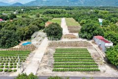 Lô 2 mặt tiền suối tân cam lâm cạnh kcn suối dầu 200m2