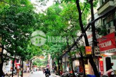 Mặt phố, 2 thoáng, kinh doanh đỉnh phố nguyễn ngọc nại. 0911554873.
