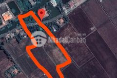 Đất thổ long thuận thủ thừa