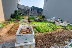 Bán đất 31 ha trâu quỳ gia lâm giá 15 tỷ