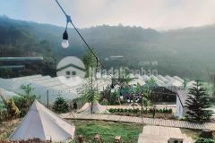 Homestay hơn 1600m2, đang kinh doanh, sức chứa hơn 50 người