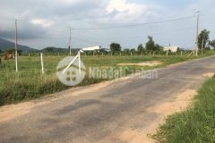 Bán 36x42m mặt nhựa tân thuận chỉ 3 tỷ, hàm thuận nam