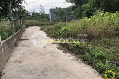 Đât phương 1 thi xa quang tri, gia 6xx