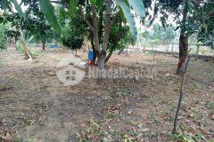 Đất thổ cư thị trấn cần thạnh sổ hồng riêng