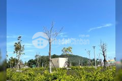 Cần bán gấp 1 lô biệt thự vườn pháp lí rõ ràng thanh khoản linh hoạt