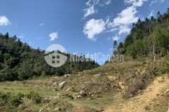 Khôi phục du lịch tả phìn, sapa bán mảnh đất 1150m2 tại thôn tà chải