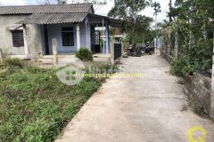 Bán đất khu phố 1, phường 1, thị xã quảng trị, tỉnh quảng trị