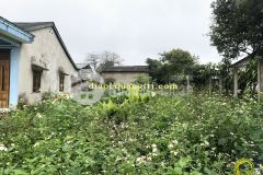 Đất nền giá rẻ kiệt nguyễn hoàng tx. quảng trị