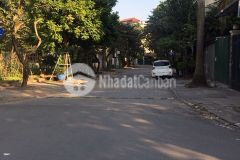 Nhà đẹp vị trí đắc địa khu đấu giá tầm dâu việt hưng dt 100m2. gía 18 tỷ