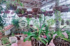 Bán nhà phố đại từ, kd sầm uất, vỉa hè, 95 m x4 tầng, mặt tiền 6 m, giá 16 tỷ.