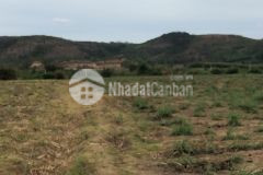 1,7 mẫu 260m mặt tiền tân phúc hàm tân 3,5 tỷ