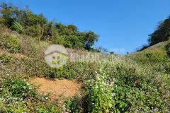 Bán đất nền mộc châu, thích hợp làm farm, du lịch trải nghiệm