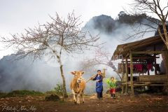 Đất nền mộc châu, vị trí vip, view hồ điều hoà chỉ có tại chiềng đi