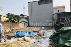 Bán 181m2 mặt tiền 9m xuân bách quang tiến sóc sơn giá chỉ 17,5 trm2.