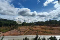 Chỉ 2trm2 đất làm farm, nông nghiệp ngay trung tâm xuân thọ