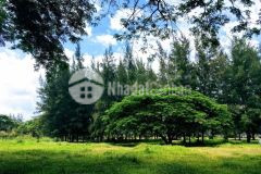 Bán 3 nền đẹp hướng đông nam kdc công trình 8 hưng thạnh cái răng sổ hồng