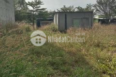 Vợ chồng ly hôn sang 450m215x30m va 12p2kiot đất mặt tiền đườnglớn, gần kcn, tiện xây dựng nhà