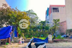 Bán đất tđc kiêu kị sát vườn hoa siêu đẹp, đường kiêu kỵ mở rộng sắp được triển khai, dt 80m2.