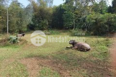 Gấp đất lương sơn, hòa bình 658m2, giá 750 triệu