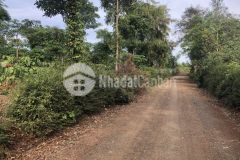 D47 bán đất gần vườn quýt đăng khoa, cách hồ ông ngãi tầm 300m