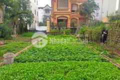 Thạch bàn long biên bán 68m2 đất mt4m ngõ thông ô tô 7 chỗ vào nhà chỉ 4.9 tỷ.