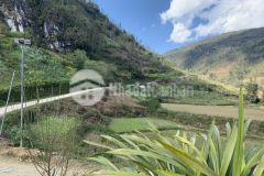 Đón sóng du lịch sapa, tìm nhà đầu tư cho cực phẩm 750m2 tại tả phìn