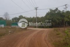 Cần ra ngay lô đất 52m mặt tiền tại hớn quản bình phước