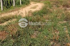 8,5 sào 2,3 tỷ lô góc 200 m mặt đường tân nghĩa, hàm tân