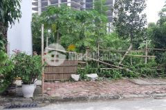 Bán liền kề kđt văn khê, hà đông 50m. chỉ 5.99 tỷ