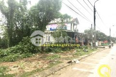 Mua đất tặng vàng lô đất mặt tiền đường ql9, tp đông hà quảng trị.