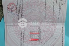 Đất vườn 1 nguyễn thị rành,trung lập hạ củ chi,1004m2,shr,quy hoạch ont,giá 3trm2