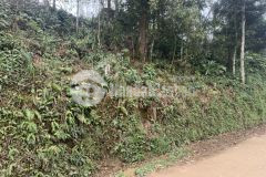 Đầu tư đất đón đầu bến xe sapa, tiềm năng sinh lời lớn