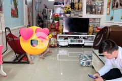 Hot nhà hxh, mới, cây trâm p 11,gv 3 tầng, 52m2, giá chỉ có 5.2 tỷ