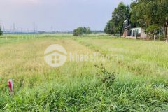 Đất vườn củ chi 1500m2 2ty4 mặt tiền đường bê tông 12m, sổ hồng riêng