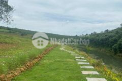 Vợ chồng em có vay ngân hàng mua lô đất, không xoay nổi nên cần bán gấp.