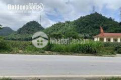 Chính chủ bán khu đất thổ cư tại xã xăm khòe mai châu hòa bình 800m2 giá chào 5 tỷ đồng.